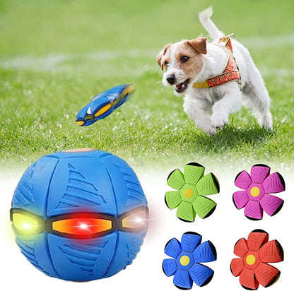 Meldrune™ Dog Frisbee